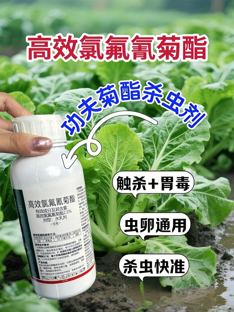 廊坊代生中心:农药对供卵代生妈妈的危害